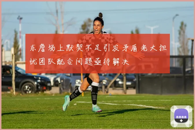 东詹场上默契不足引发矛盾老大担忧团队配合问题亟待解决